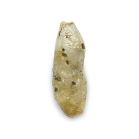 6.07 Ct. Yellowish Brown Sapphire Crystal from Ceylon (Sri Lanka) Video