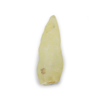 6.56 Ct. Yellow Rough Sapphire Crystal from Ceylon (Sri Lanka) Video