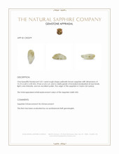 5.01 Ct. Yellowish Brown Rough Sapphire from Ceylon (Sri Lanka) Appraisal