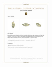 4.91 Ct. Bi Color Rough Sapphire from Ceylon (Sri Lanka) Appraisal