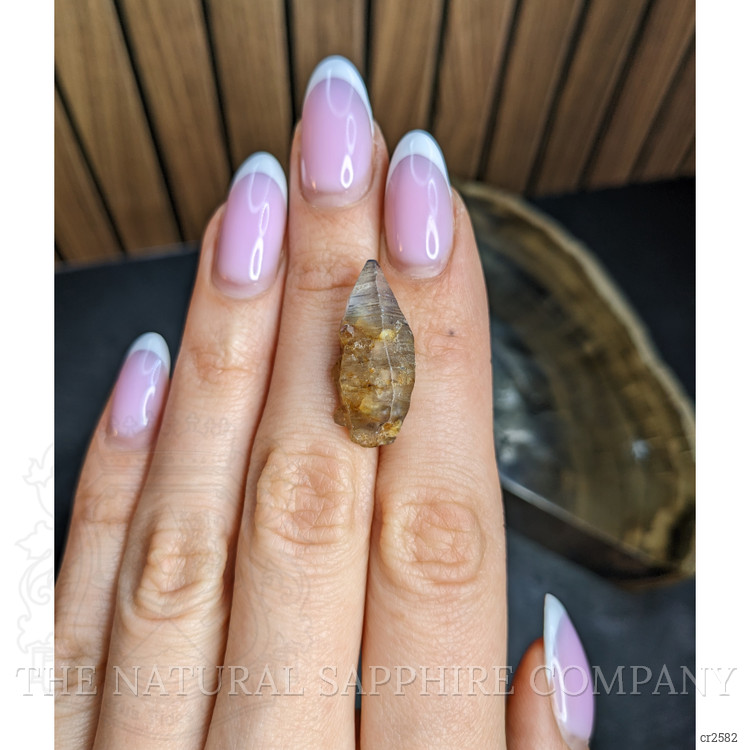 26.21 Ct. Bi Color / Parti Rough Sapphire from Ceylon (Sri Lanka)