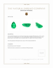 1.54 Ct. Emerald from Zambia Appraisal