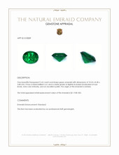 2.65 Ct. Emerald from Zambia Appraisal