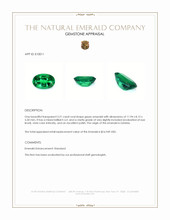 3.21 Ct. Emerald from Zambia Appraisal