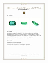 9.29 Ct. Emerald from Zambia Appraisal