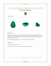 8.45 Ct. Emerald from Colombia - Muzo Appraisal