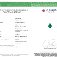 8.45 Ct. Emerald from Colombia - Muzo Pdf