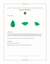 6.10 Ct. Emerald from Colombia Appraisal