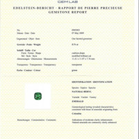 5.71 Ct. Emerald from Colombia - Muzo Pdf