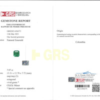 7.97 Ct. Emerald from Colombia - Muzo Pdf