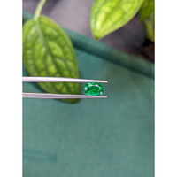 1.18 Ct. Emerald from Zambia Life Style
