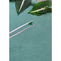 0.81 Ct. Emerald from Zambia Life Style
