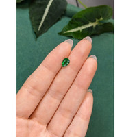 0.81 Ct. Emerald from Zambia Life Style