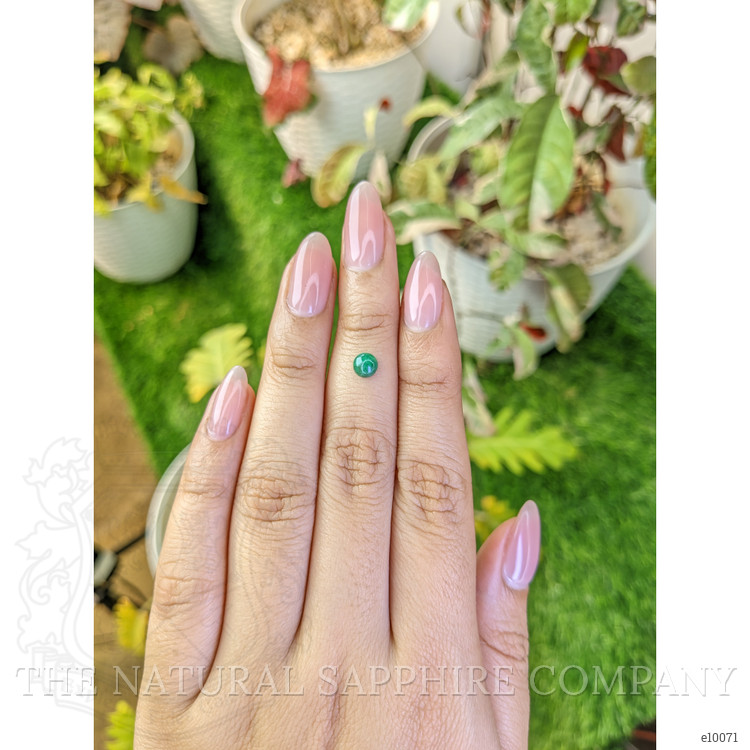 0.53 Ct. Cabochon Emerald from Colombia - Muzo