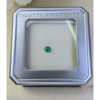 0.36 Ct. Cabochon Emerald from Colombia - Muzo Life Style