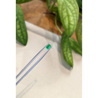 0.46 Ct. Emerald from Afghanistan Life Style