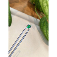 0.46 Ct. Emerald from Afghanistan Life Style