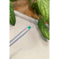 0.28 Ct. Emerald from Afghanistan Life Style