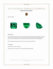 0.13 Ct. Emerald from Afghanistan Appraisal