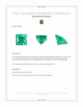 0.23 Ct. Emerald from Afghanistan Appraisal