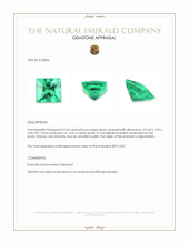 0.24 Ct. Emerald from Afghanistan Appraisal