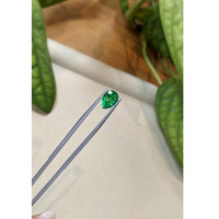 1.90 Ct. Emerald from Zambia Life Style