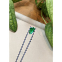 2.54 Ct. Emerald from Zambia Life Style