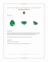 4.52 Ct. Emerald from Zambia Appraisal