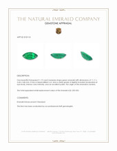 1.19 Ct. Emerald from Zambia Appraisal