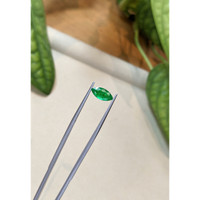 1.16 Ct. Emerald from Zambia Life Style