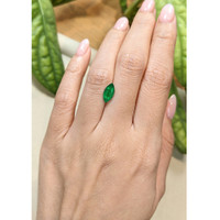 1.16 Ct. Emerald from Zambia Life Style