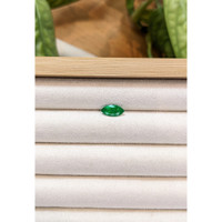 1.16 Ct. Emerald from Zambia Life Style