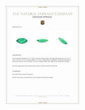 1.37 Ct. Emerald from Zambia Appraisal