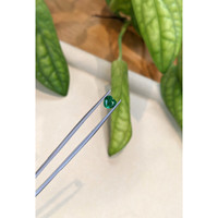 0.91 Ct. Emerald from Zambia Life Style