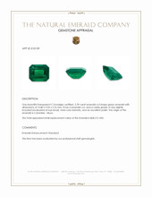 3.78 Ct. Emerald from Colombia - Muzo Appraisal