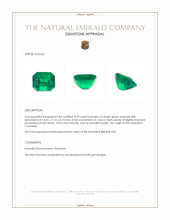 8.29 Ct. Emerald from Colombia Appraisal