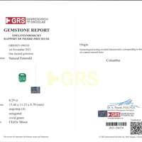 8.29 Ct. Emerald from Colombia Pdf