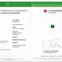 8.60 Ct. Emerald from Colombia Pdf