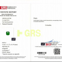 8.60 Ct. Emerald from Colombia Pdf