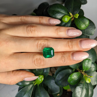 8.60 Ct. Emerald from Colombia Life Style