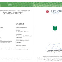 11.82 Ct. Emerald from Colombia Pdf