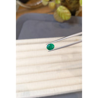 1.05 Ct. Emerald from Colombia Life Style