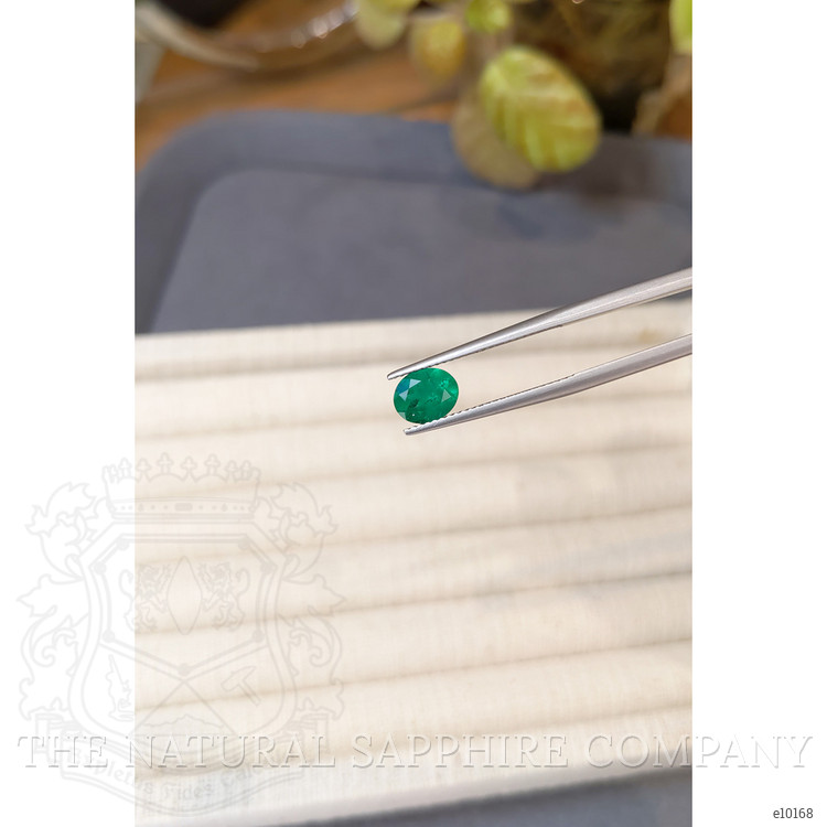 1.05 Ct. Emerald from Colombia
