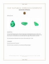0.92 Ct. Emerald from Colombia Appraisal