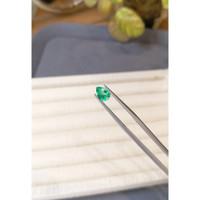 0.92 Ct. Emerald from Colombia Life Style