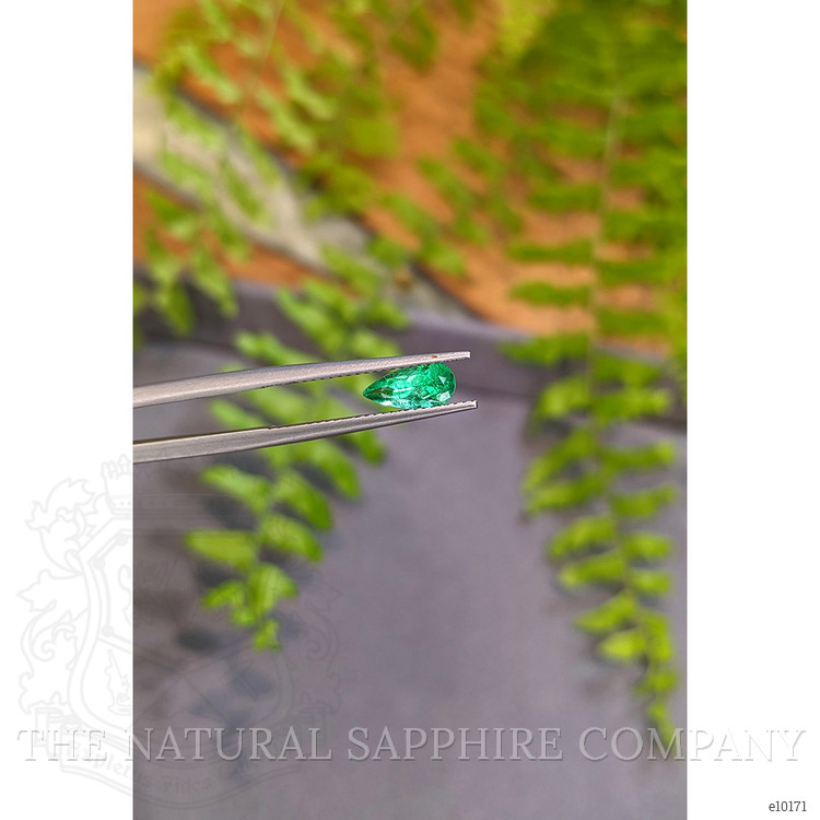 0.70 Ct. Emerald from Colombia