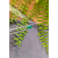 0.65 Ct. Emerald from Colombia Life Style