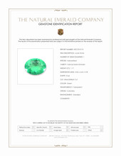 1.17 Ct. Emerald from Colombia Scan Report