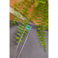 1.17 Ct. Emerald from Colombia Life Style