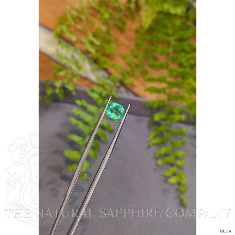 1.17 Ct. Emerald from Colombia